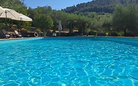 Agriturismo Poggio All'Olmo