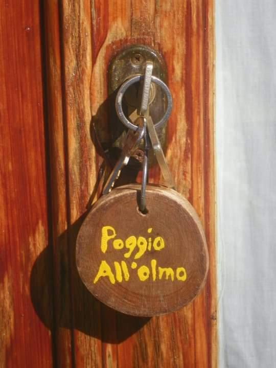 Agriturismo Poggio All'Olmo Villa Greve in Chianti Exterior photo