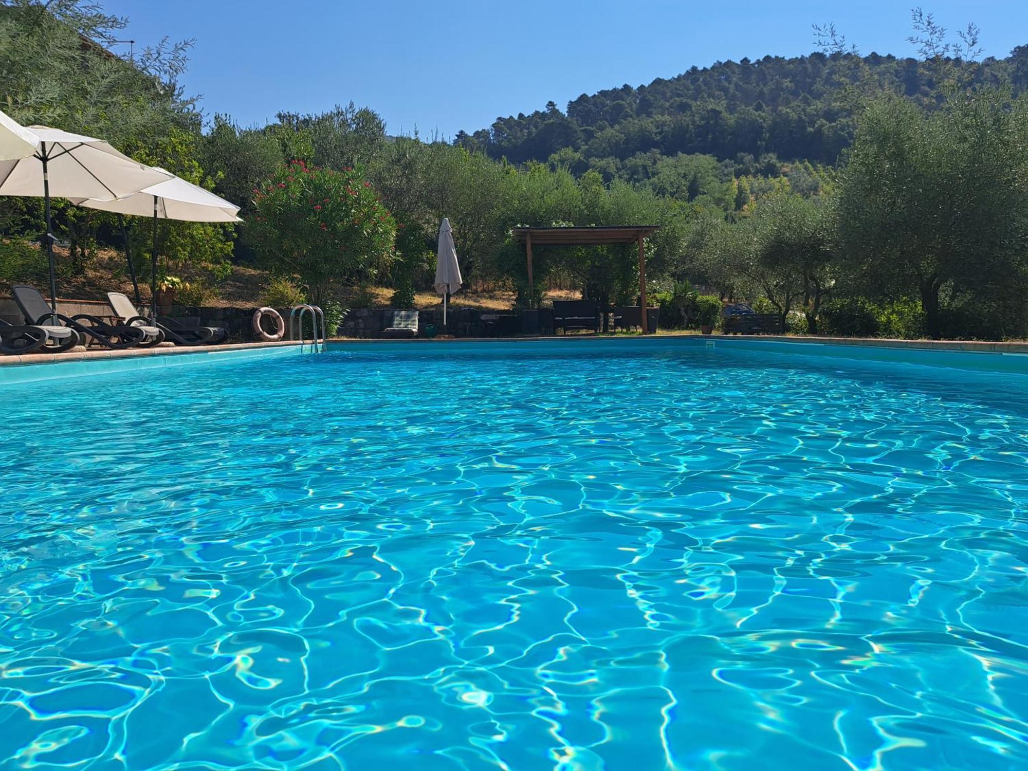 Agriturismo Poggio All'Olmo Villa Greve in Chianti Exterior photo