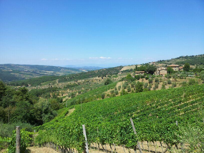 Agriturismo Poggio All'Olmo Villa Greve in Chianti Exterior photo