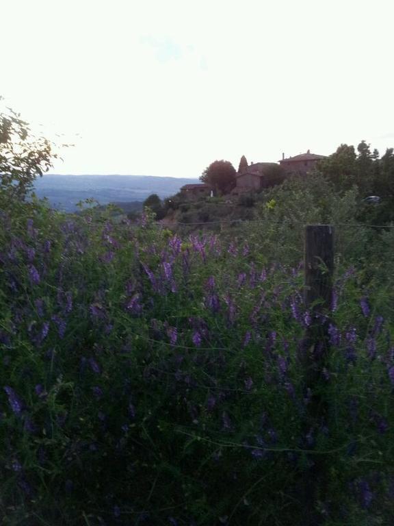 Agriturismo Poggio All'Olmo Villa Greve in Chianti Exterior photo