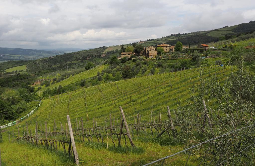Agriturismo Poggio All'Olmo Villa Greve in Chianti Exterior photo