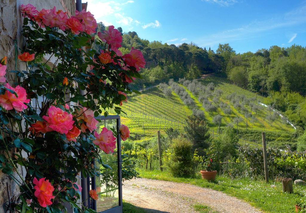 Agriturismo Poggio All'Olmo Villa Greve in Chianti Exterior photo